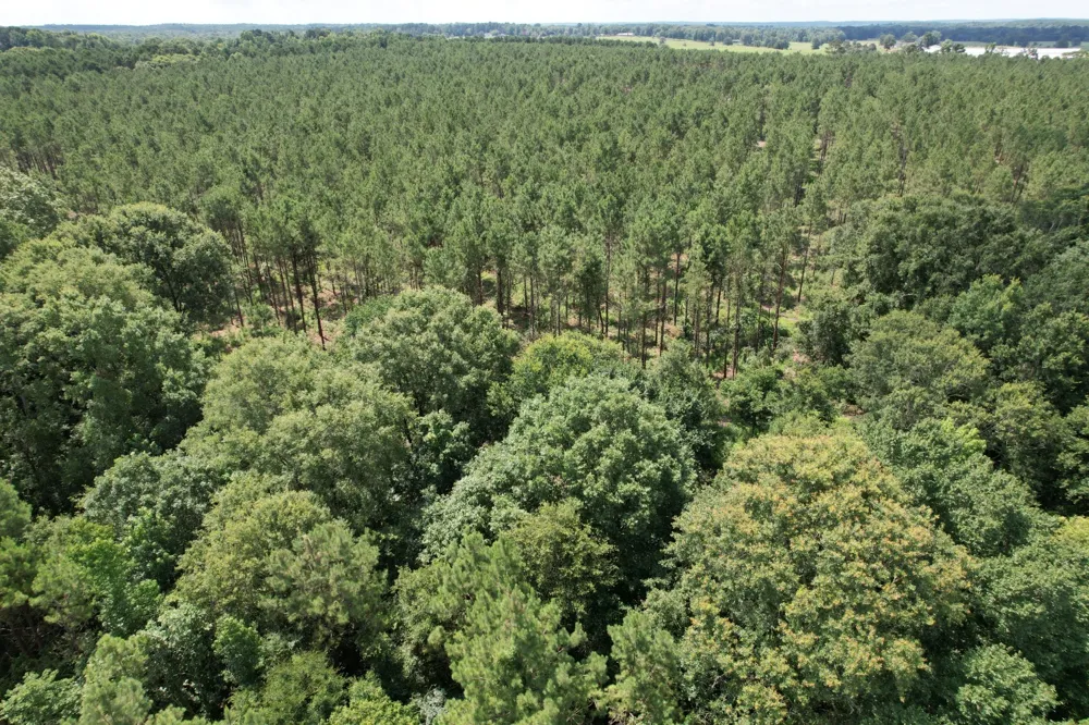 County Road 3706 Tenaha, TX 75974
