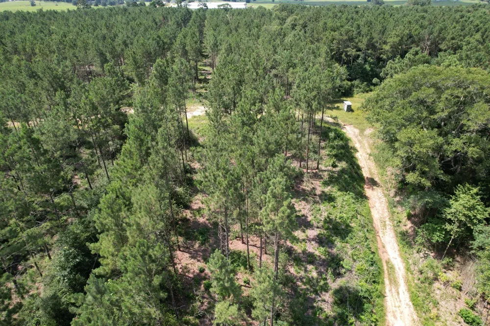 County Road 3706 Tenaha, TX 75974