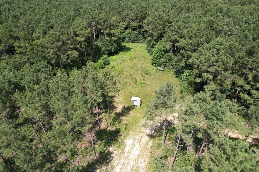 County Road 3706 Tenaha, TX 75974