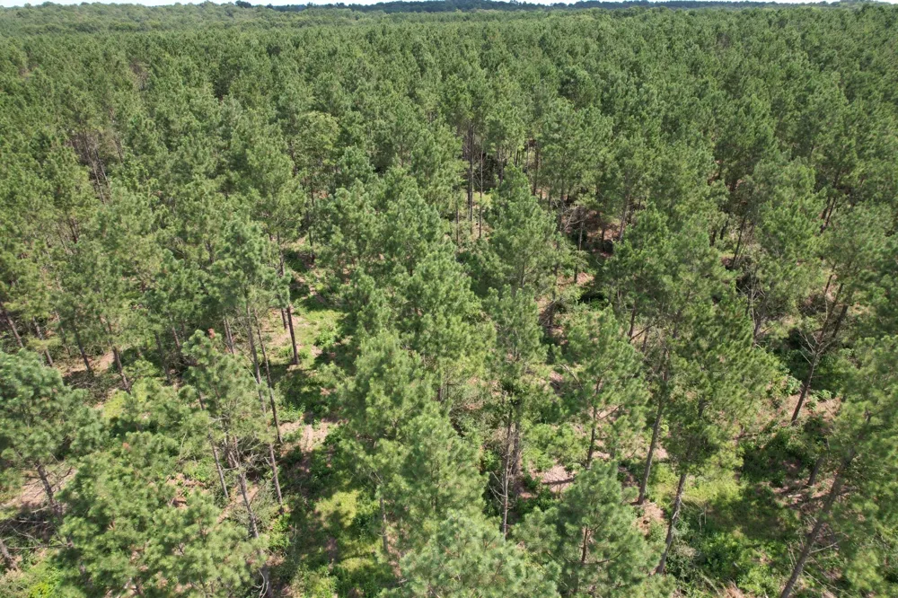 County Road 3706 Tenaha, TX 75974