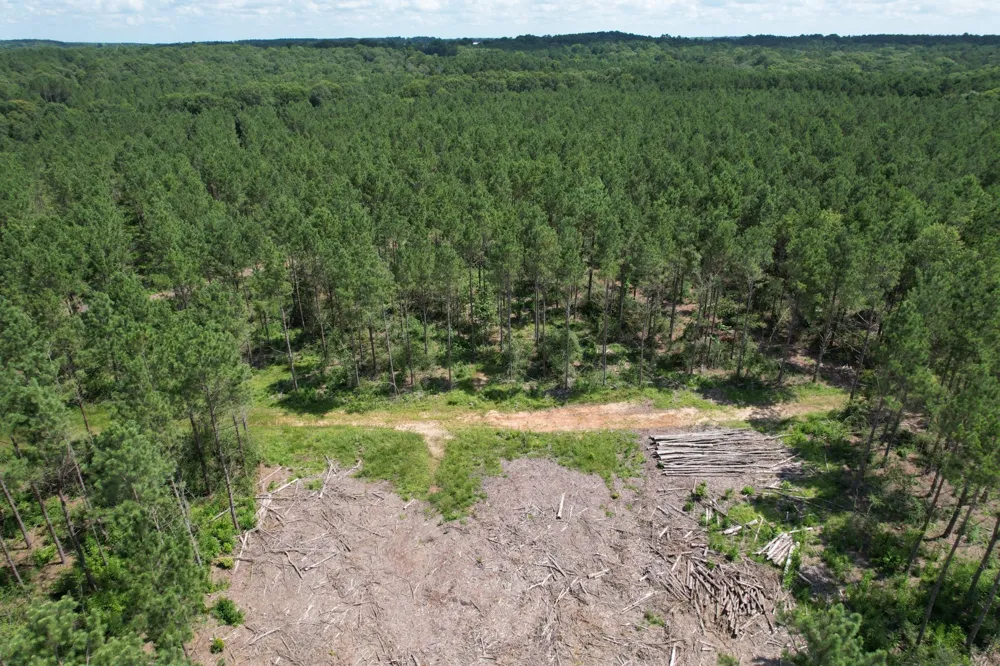 County Road 3706 Tenaha, TX 75974