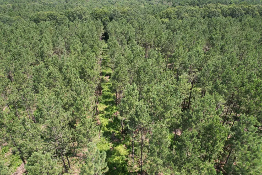 County Road 3706 Tenaha, TX 75974