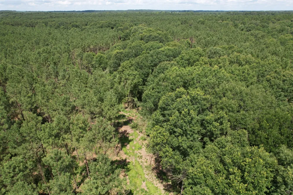 County Road 3706 Tenaha, TX 75974