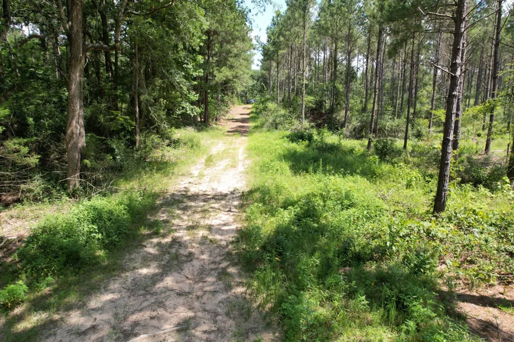 County Road 3706 Tenaha, TX 75974