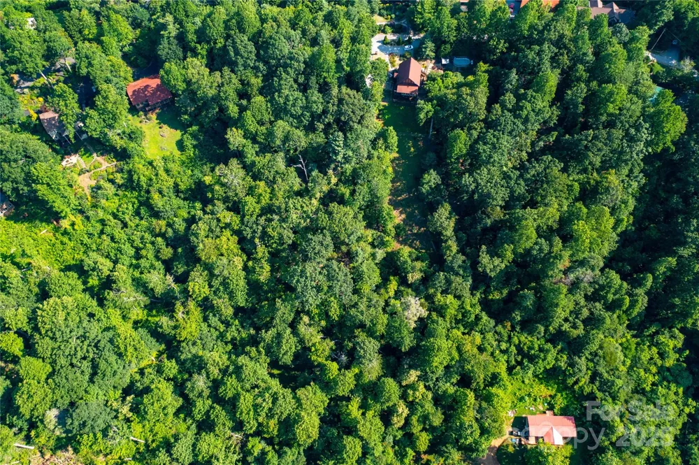 00 Glen Echo Circle Saluda, NC 28773