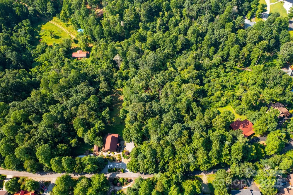 00 Glen Echo Circle Saluda, NC 28773