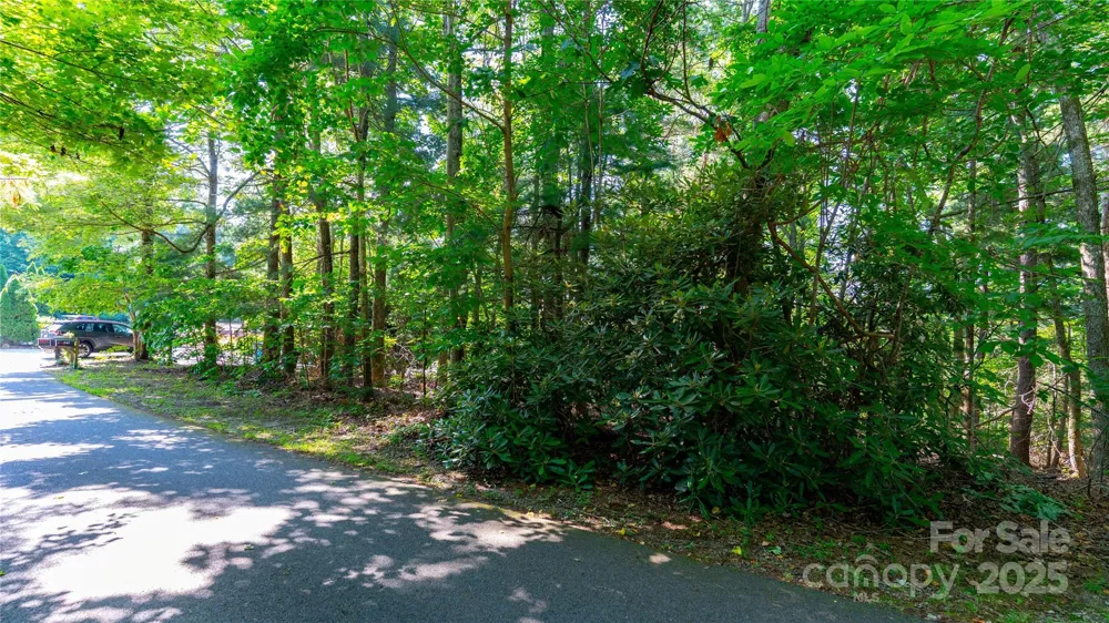 00 Glen Echo Circle Saluda, NC 28773