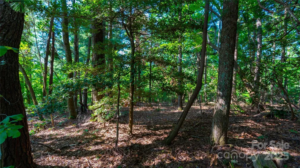 00 Glen Echo Circle Saluda, NC 28773