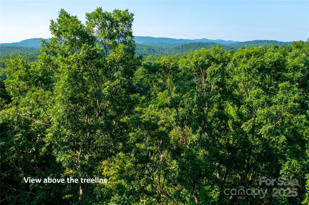 00 Glen Echo Circle Saluda, NC 28773