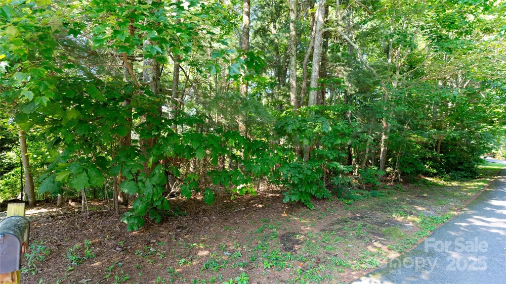 00 Glen Echo Circle Saluda, NC 28773