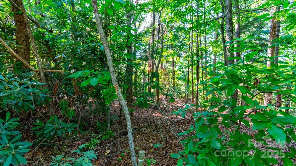00 Glen Echo Circle Saluda, NC 28773