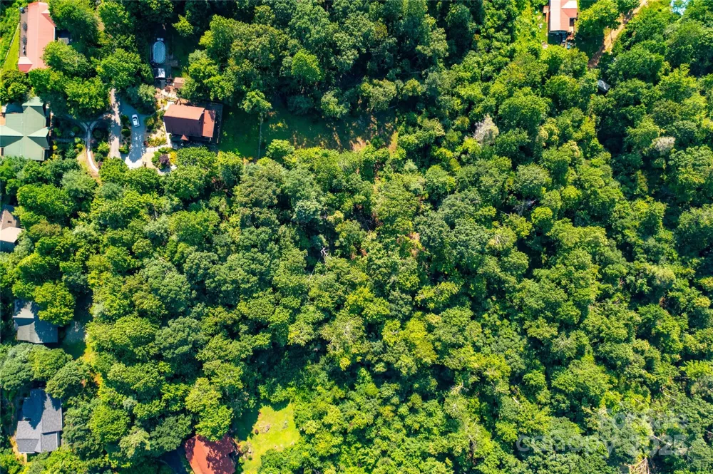 00 Glen Echo Circle Saluda, NC 28773