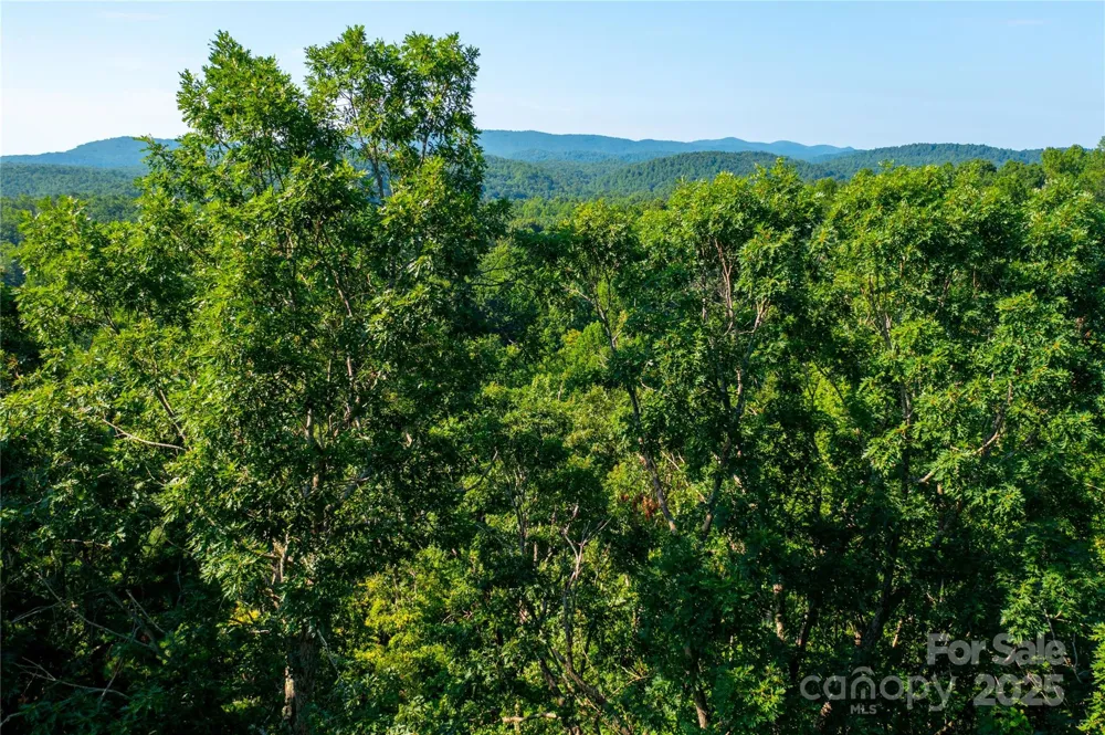 00 Glen Echo Circle Saluda, NC 28773