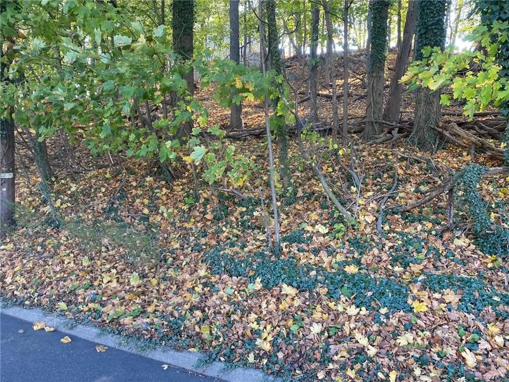 0 Ashford Avenue Dobbs Ferry, NY 10522