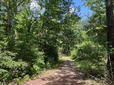 11 Pr 2205