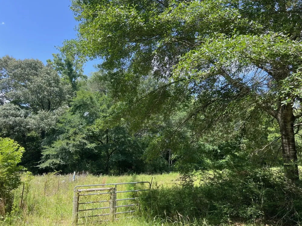 11 Pr 2205 Buffalo, TX 75831