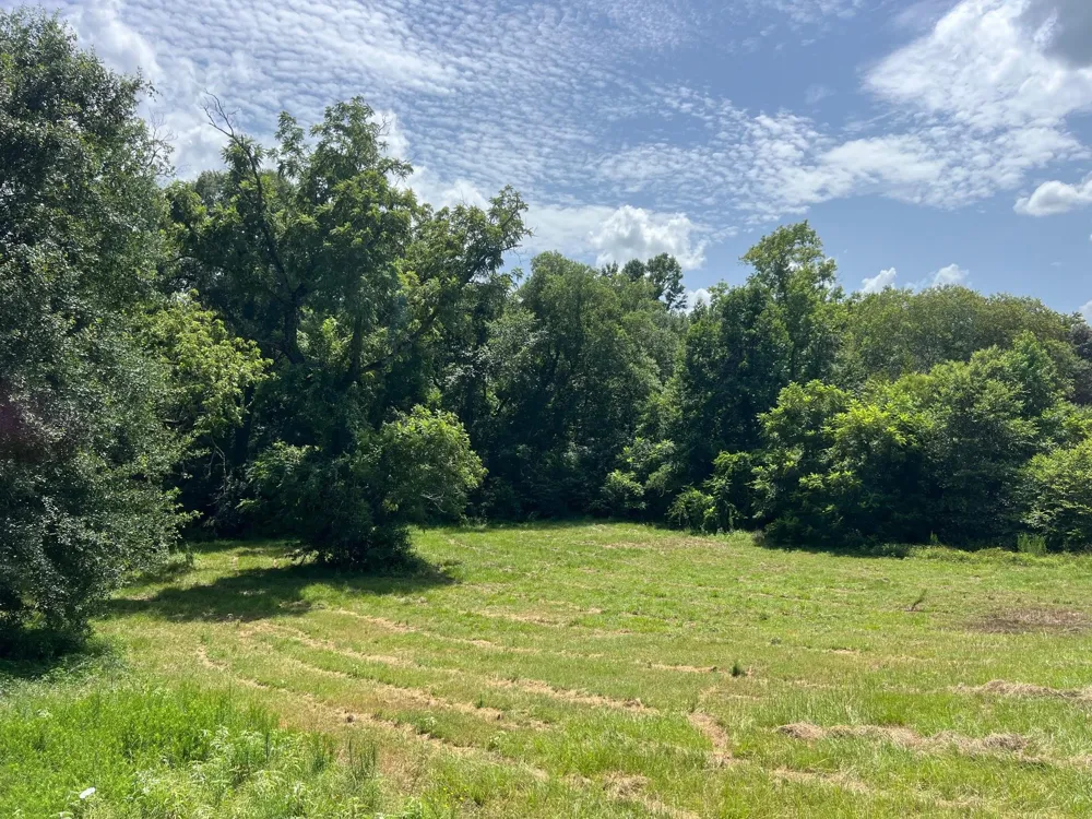 11 Pr 2205 Buffalo, TX 75831