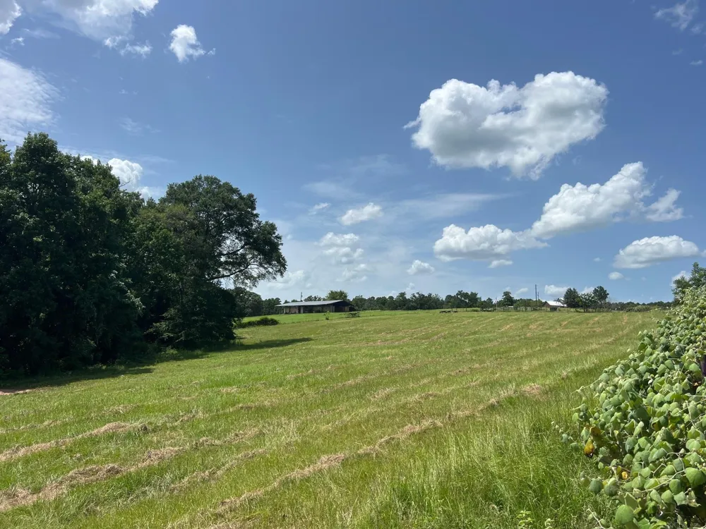 11 Pr 2205 Buffalo, TX 75831