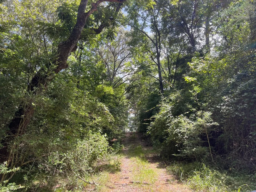 11 Pr 2205 Buffalo, TX 75831
