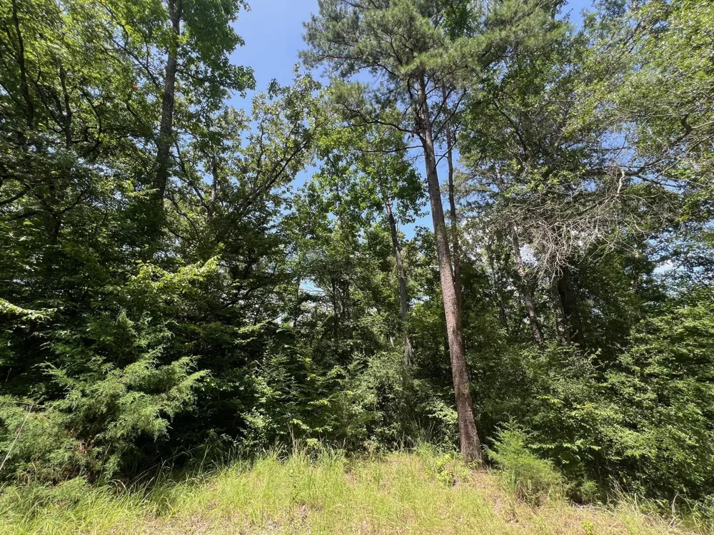 11 Pr 2205 Buffalo, TX 75831