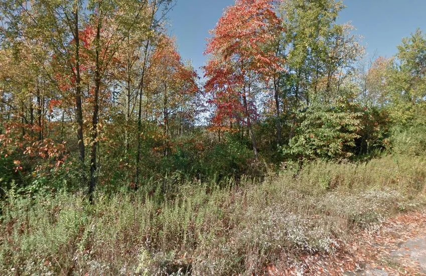 Forest Shores Drive #23 Cassopolis, MI 49031