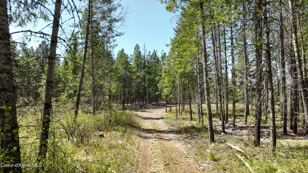 NKA E Rookery Road Hayden, ID 83835