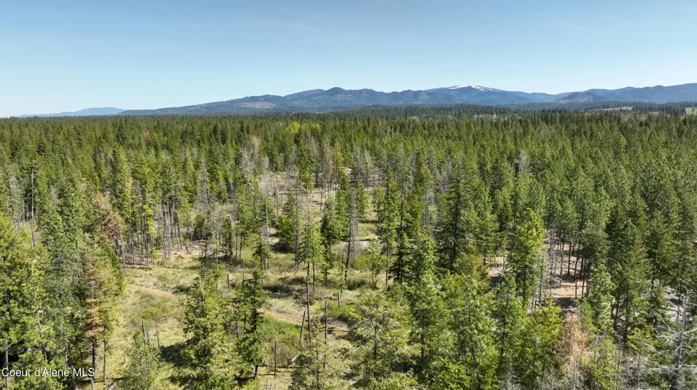 NKA E Rookery Road Hayden, ID 83835
