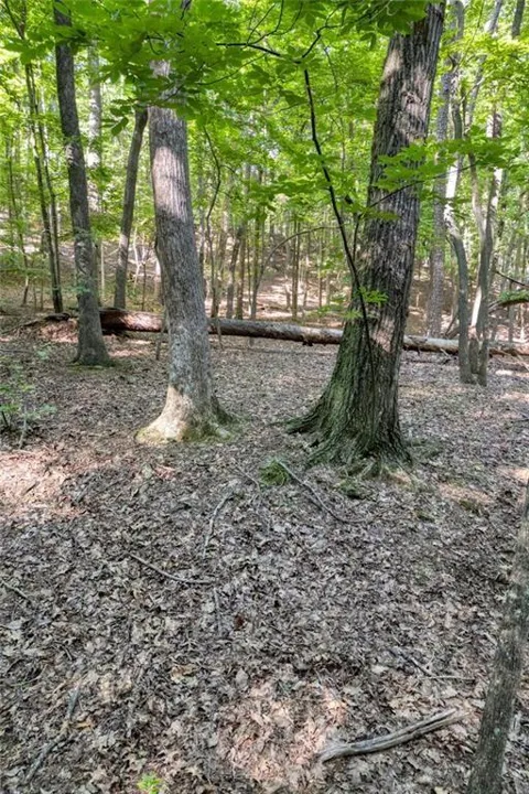 90 Cardinal Cove