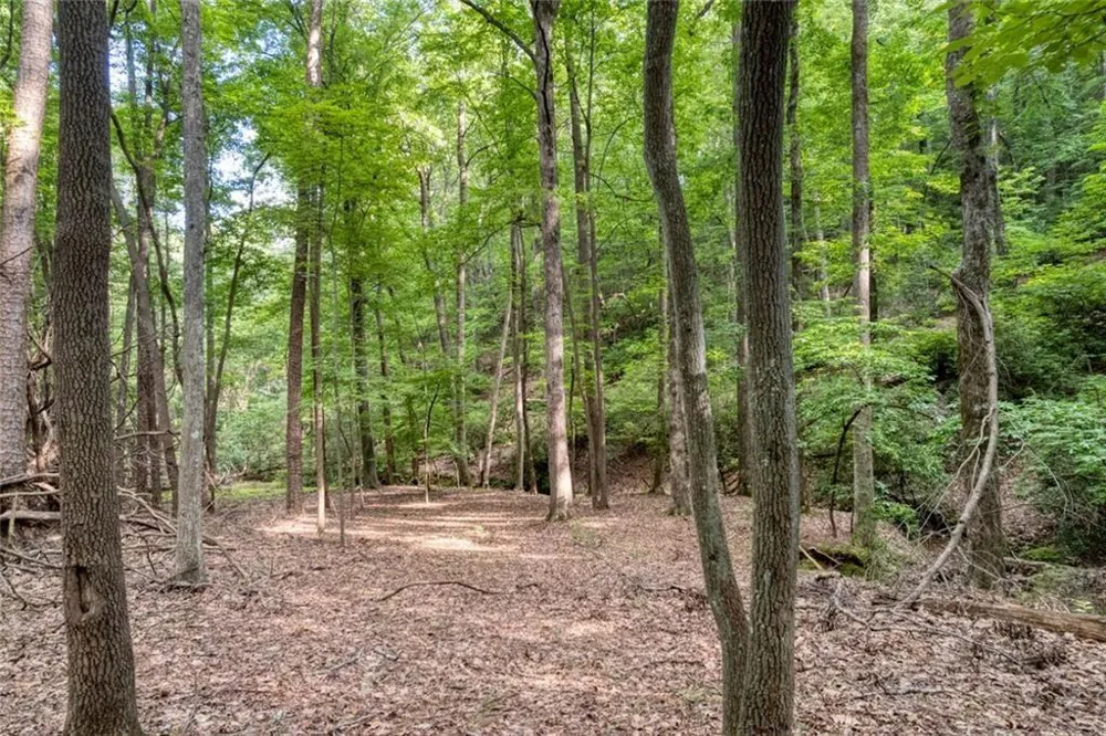 90 Cardinal Cove Big Canoe, GA 30143