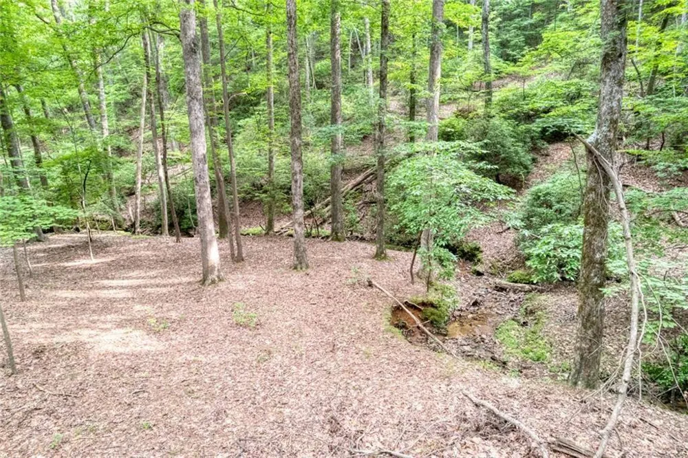 90 Cardinal Cove Big Canoe, GA 30143