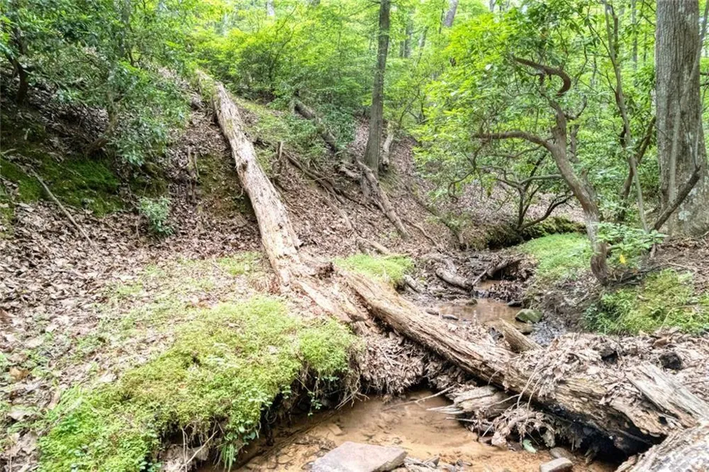 90 Cardinal Cove Big Canoe, GA 30143