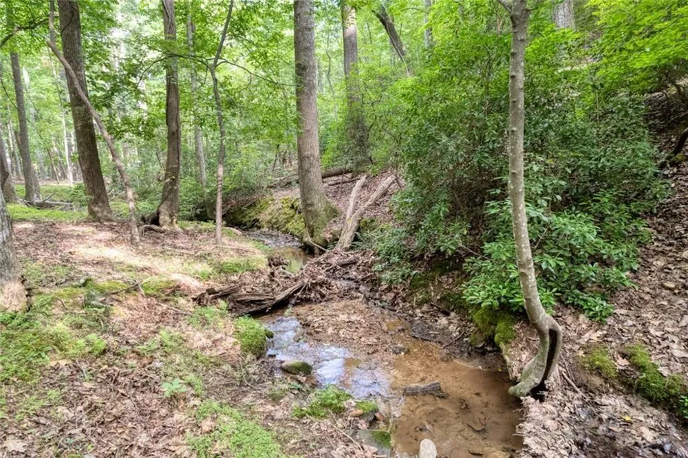 90 Cardinal Cove Big Canoe, GA 30143