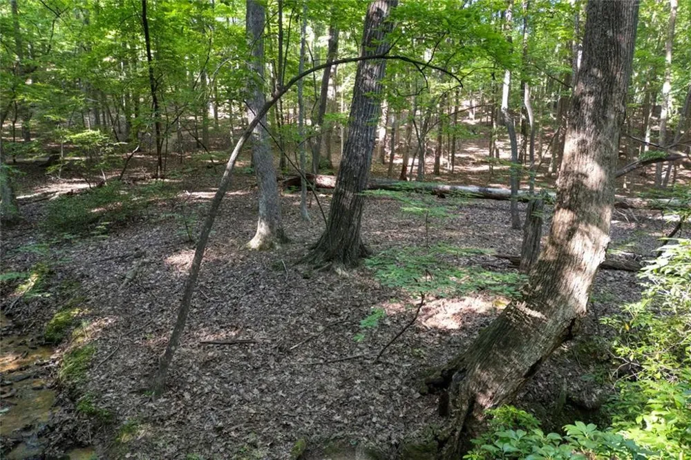 90 Cardinal Cove Big Canoe, GA 30143