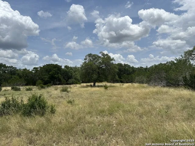 571 Rayner Ranch Spring Branch, TX 78070