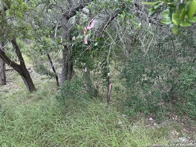 571 Rayner Ranch Spring Branch, TX 78070