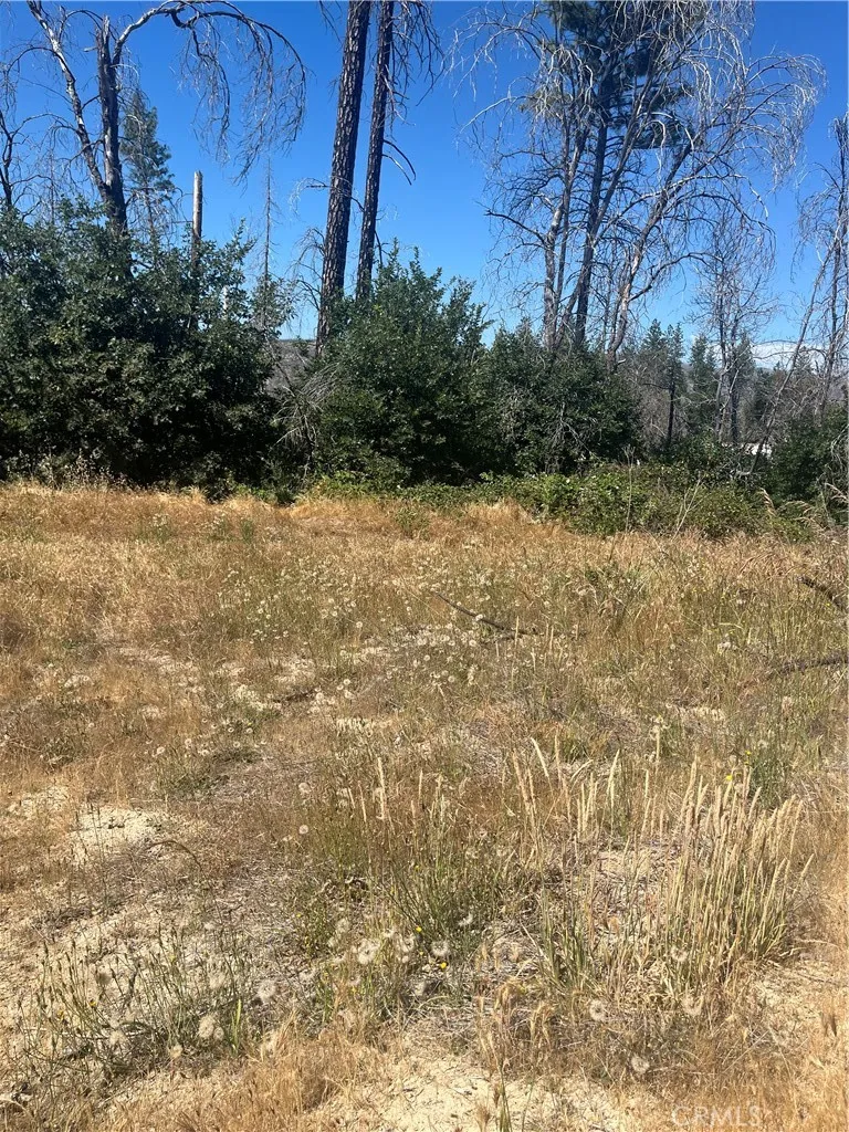 122 Simpson Ranch Road Berry Creek, CA 95916
