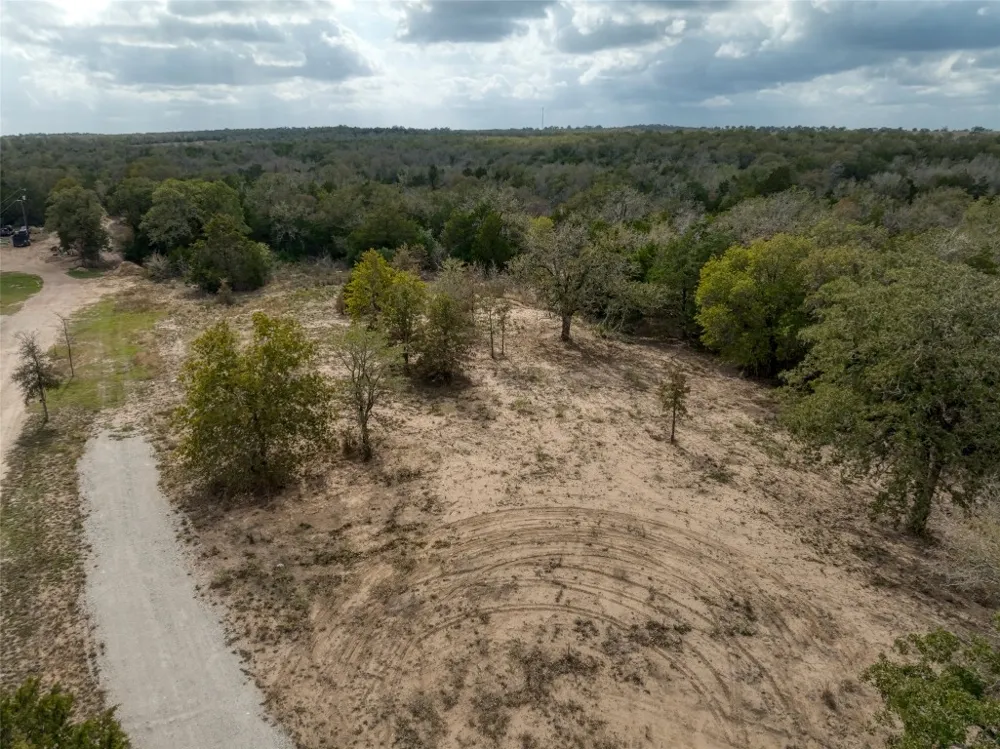 Walter Hoffman Road Cedar Creek, TX 78612