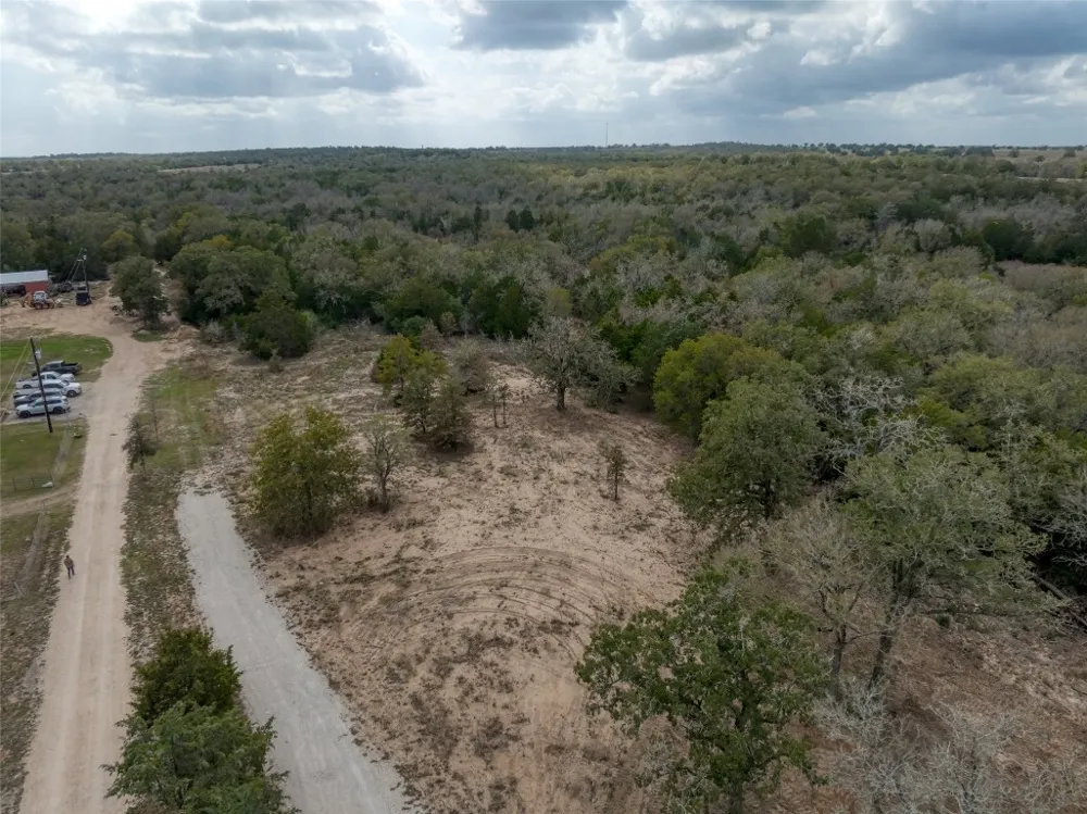 Walter Hoffman Road Cedar Creek, TX 78612