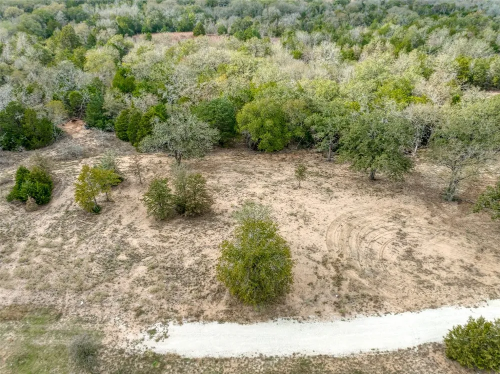 Walter Hoffman Road Cedar Creek, TX 78612