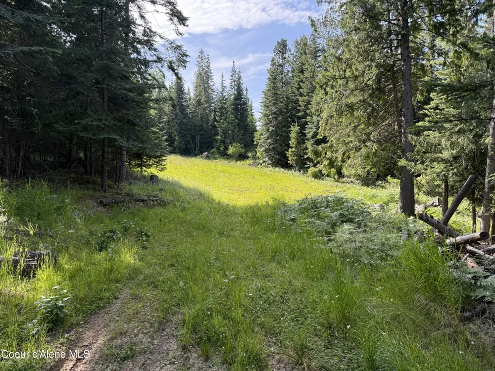 NKA S Fern Creek Road Cataldo, ID 83810