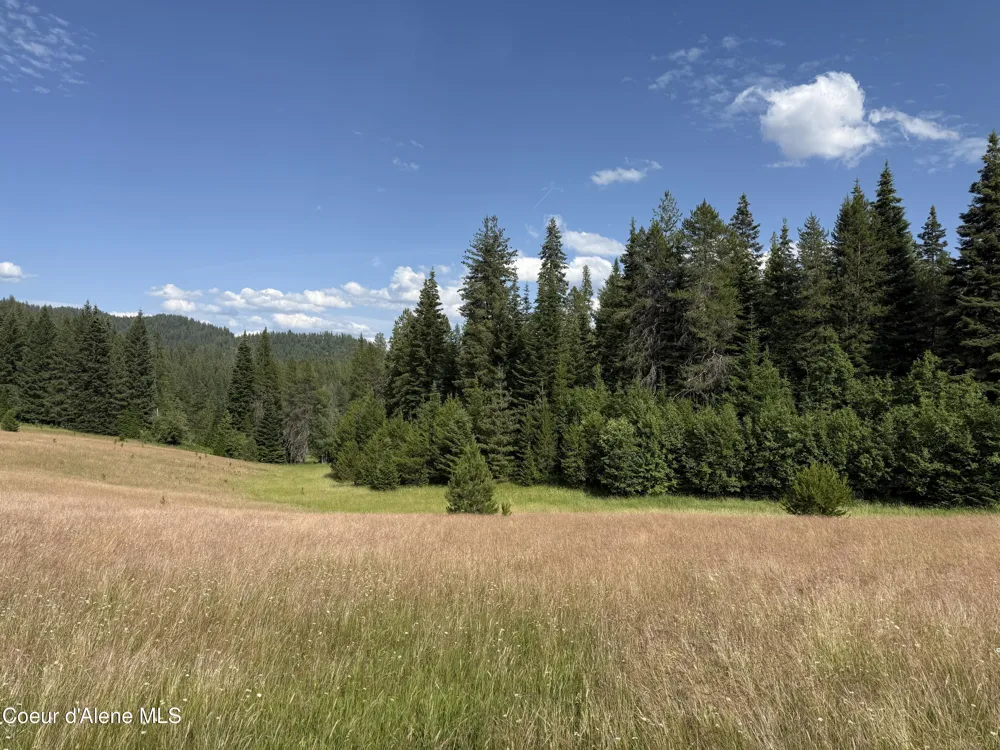 NKA S Fern Creek Road Cataldo, ID 83810