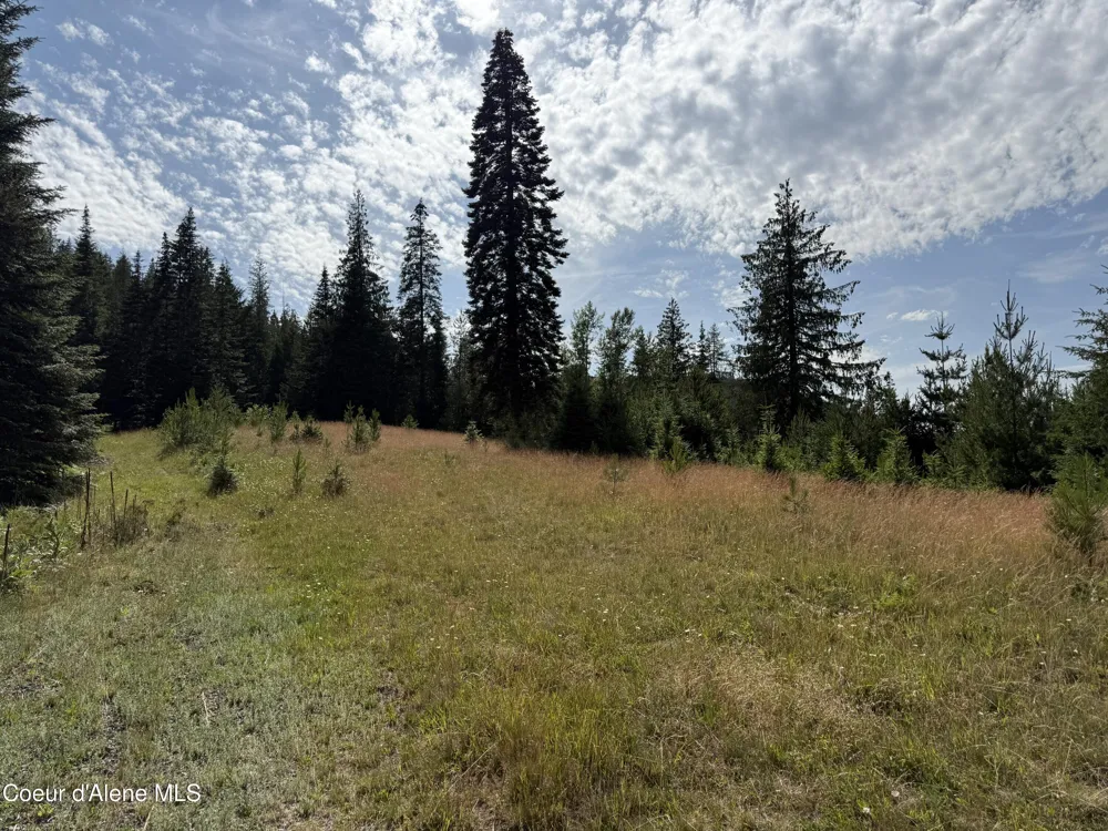 NKA S Fern Creek Road Cataldo, ID 83810