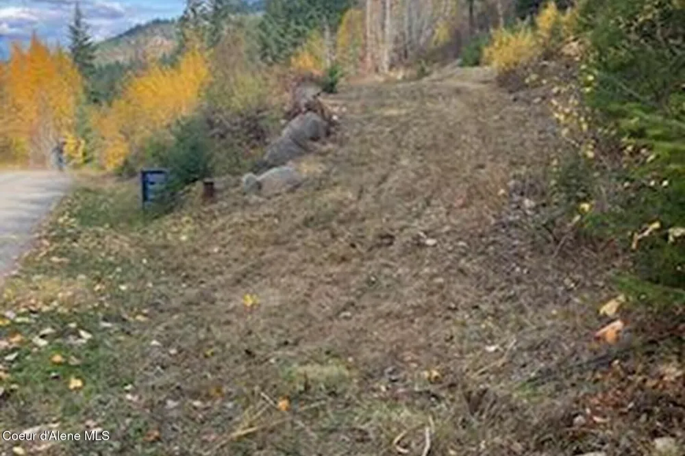 Lot 2 Forever View Sagle, ID 83860