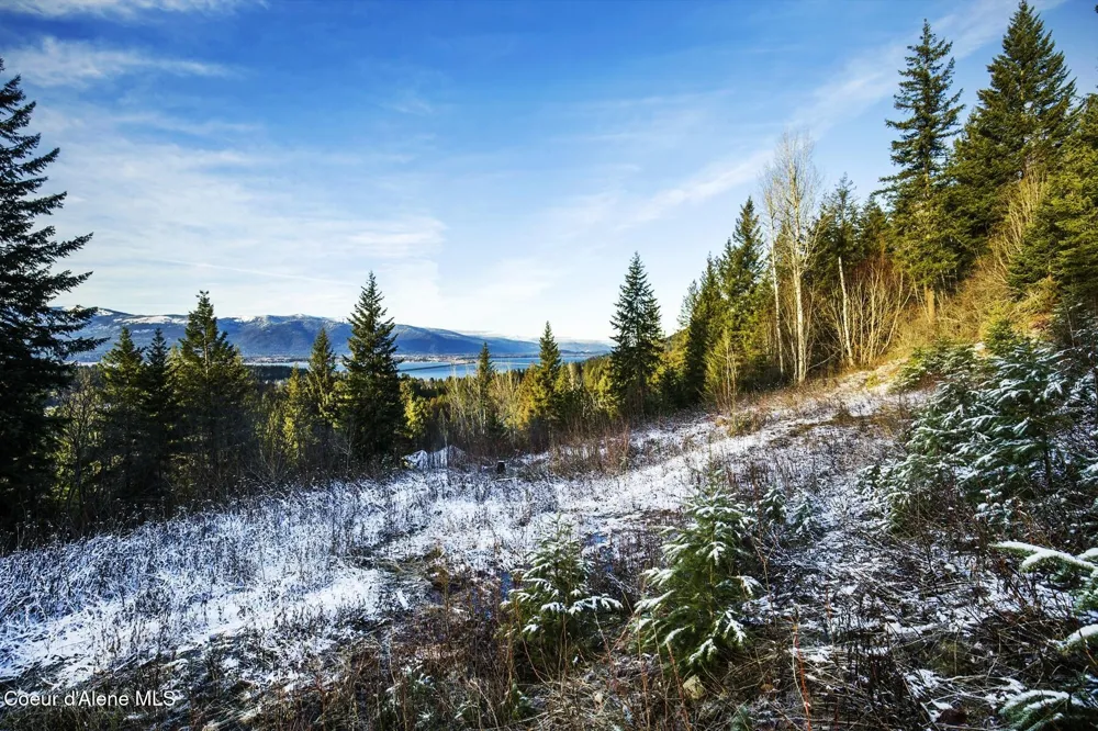 Lot 2 Forever View Sagle, ID 83860