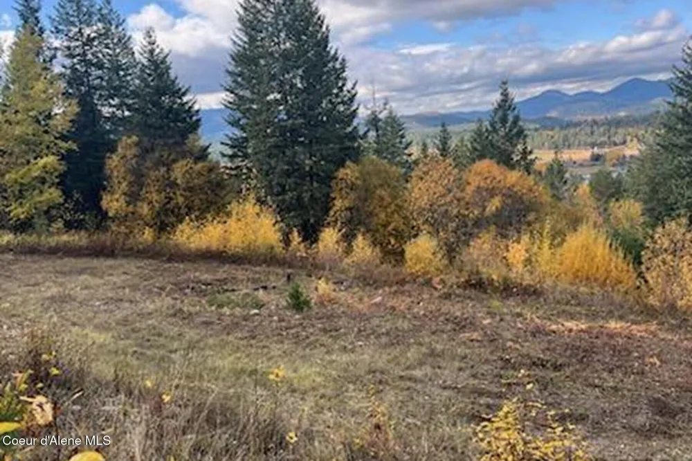 Lot 2 Forever View Sagle, ID 83860