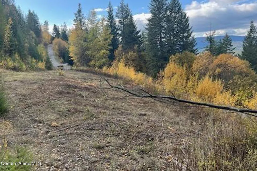 Lot 2 Forever View Sagle, ID 83860