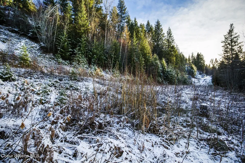 Lot 2 Forever View Sagle, ID 83860