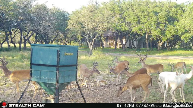 1305 camino real Junction, TX 76849