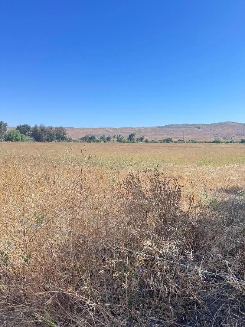 10868 Dougherty Avenue Morgan Hill, CA 95037