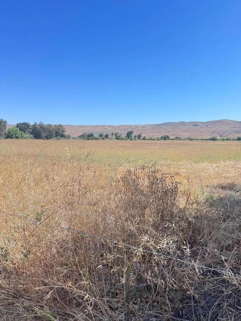 10868 Dougherty Avenue Morgan Hill, CA 95037